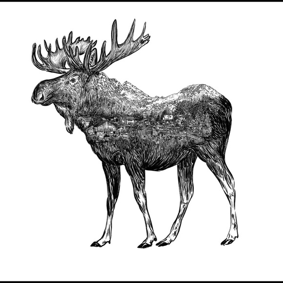 Meet your Posher, Geneva - Picture 2 of 2